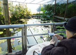 さくやこの花館